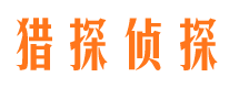 方城市场调查